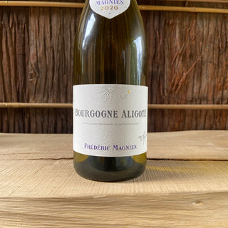 Bourgogne Chardonnay 2019 Frederic Magnien / Bourgogne Chardonnay Frederic Magnien